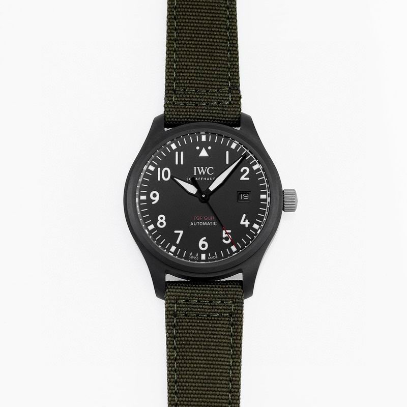 IWC watch 41 (7)